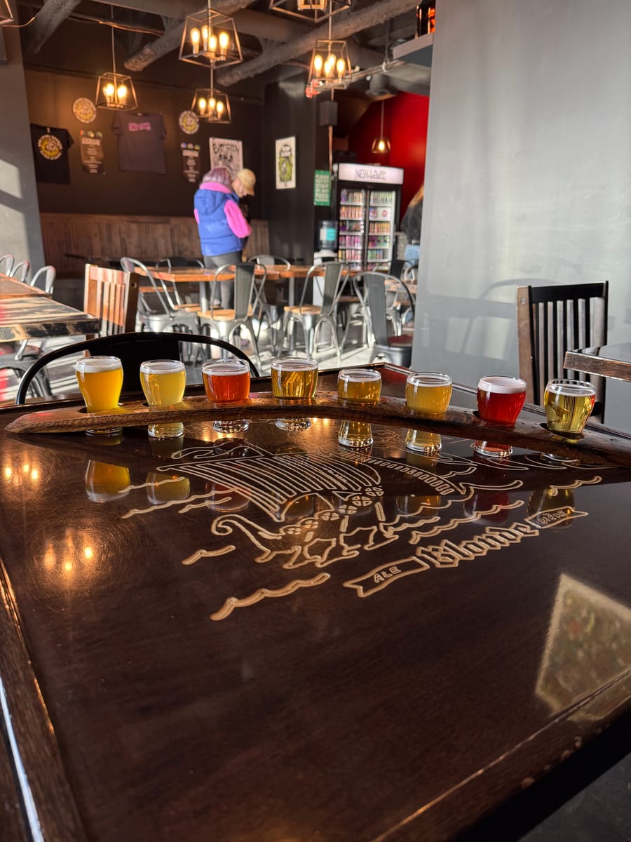 A flight of eight New Level beers on a long paddle in the taproom, pendant lights and the beer fridge behind